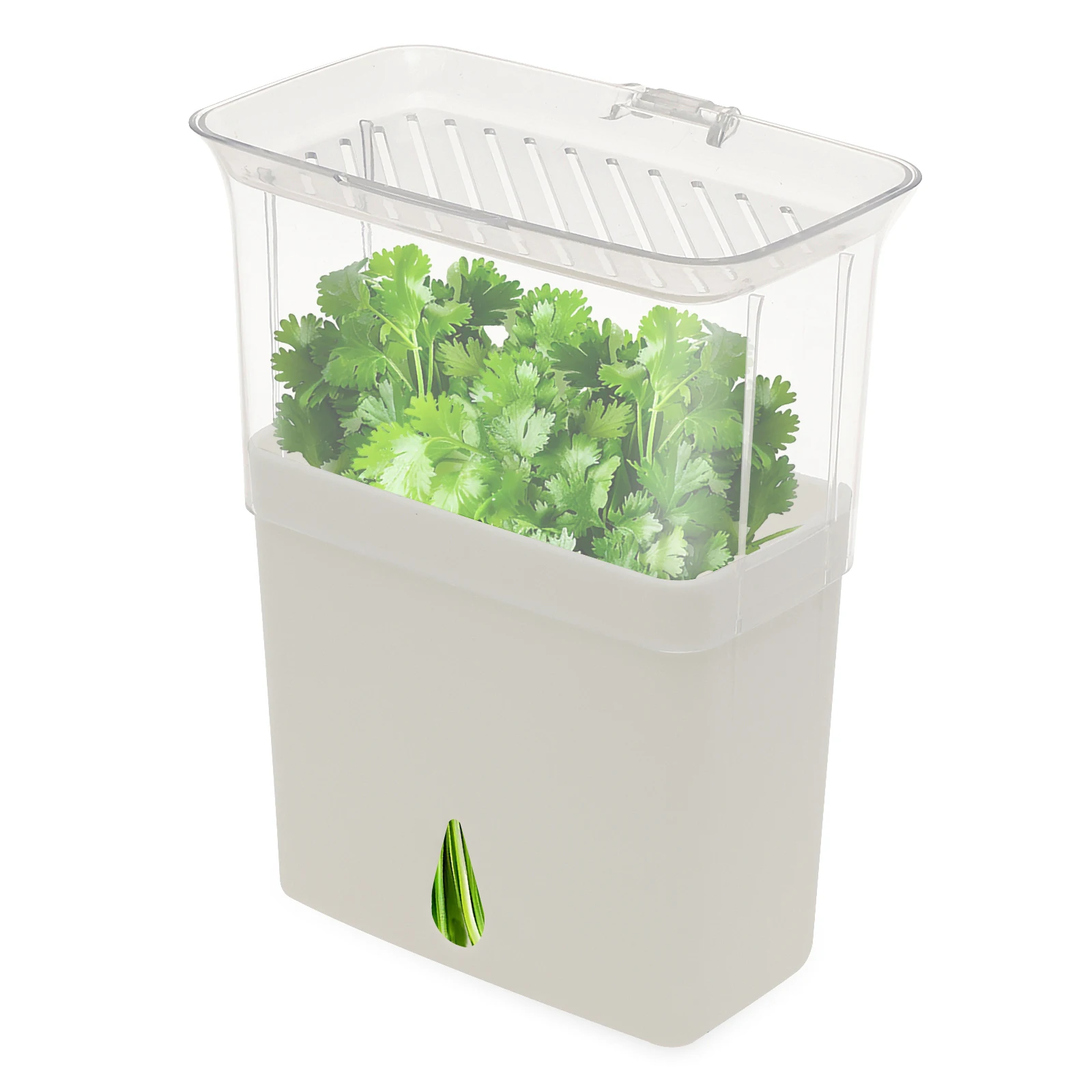 Transparenter Kräuter-Aufbewah – Herb Keeper Container Bewertung und Preis