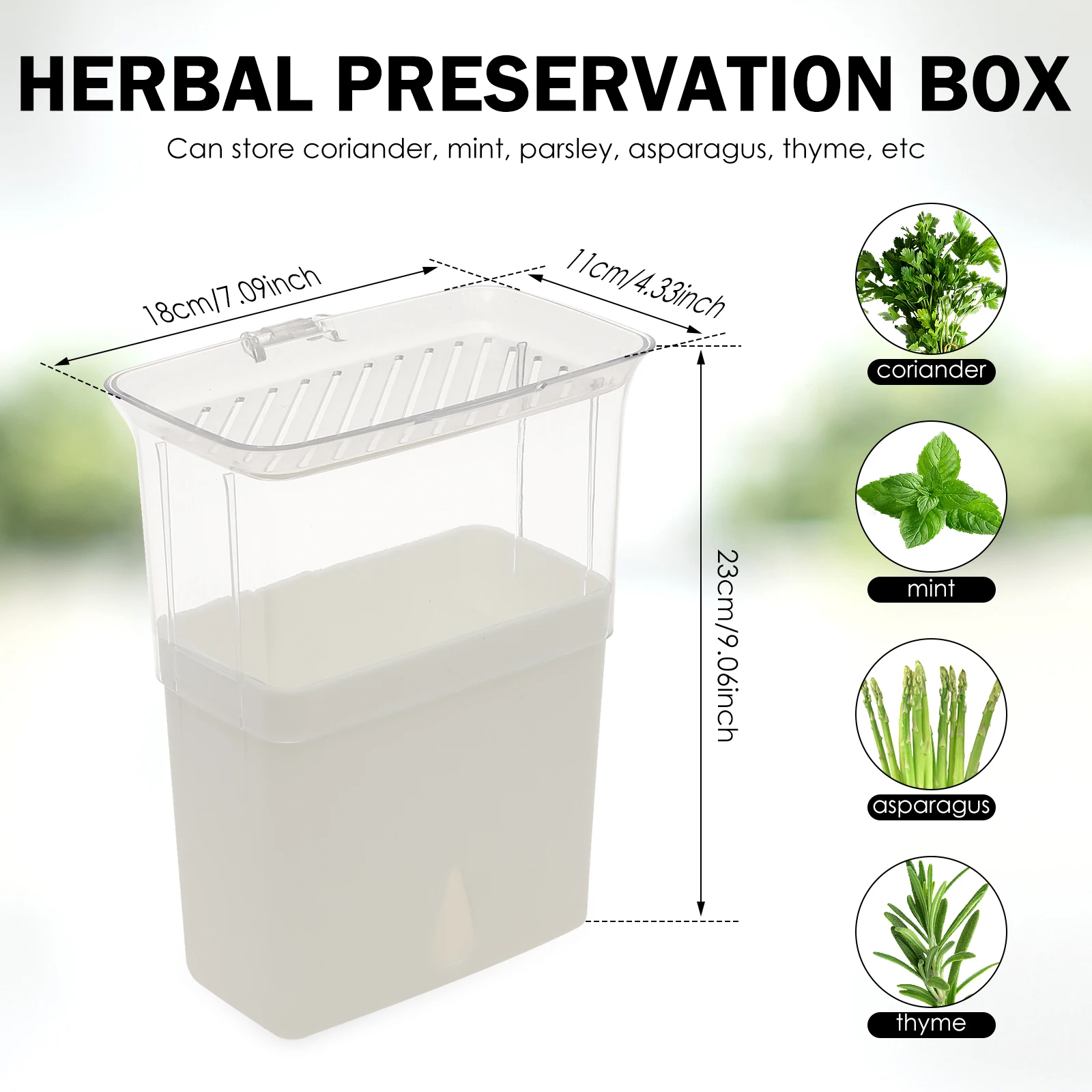 Transparenter Kräuter-Aufbewah – Herb Keeper Container Bewertung und Preis