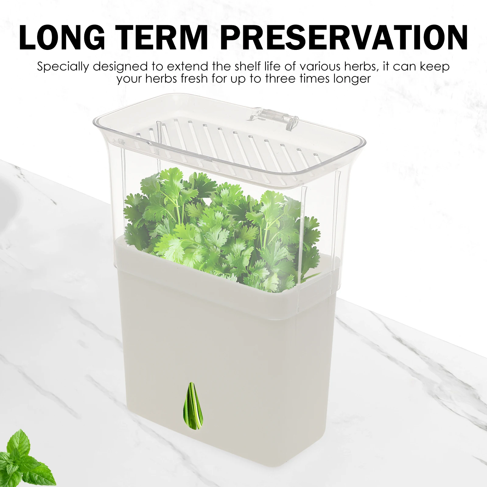 Transparenter Kräuter-Aufbewah – Herb Keeper Container Bewertung und Preis
