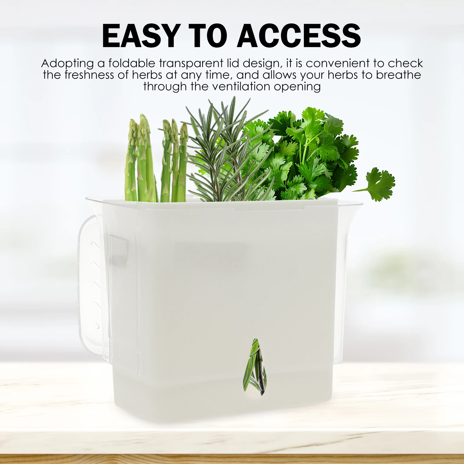 Transparenter Kräuter-Aufbewah – Herb Keeper Container Bewertung und Preis